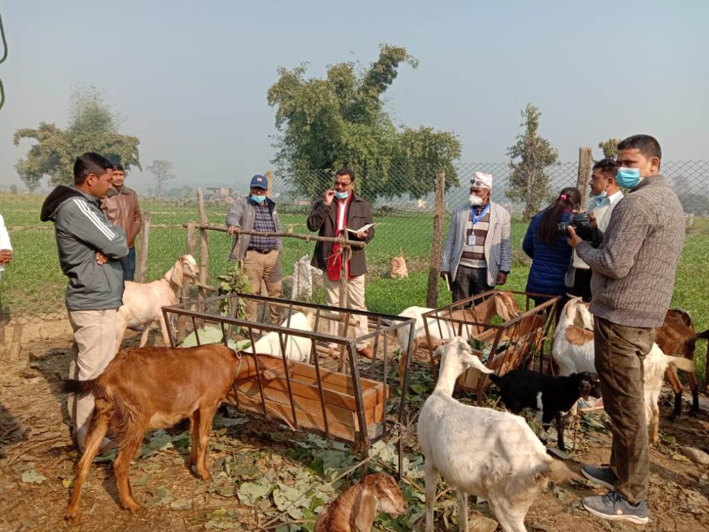 कोरोना कहरमा सम्भावना खोज्दा मोहरको बाटोमा उन्मुख 