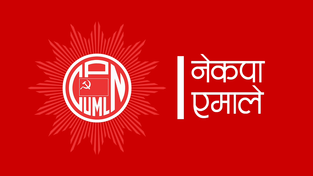 २२ सांसदलाई भाषा मिलाएर स्पष्टीकरण