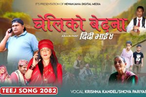 तीजको सांगीतिक माहोलमा ‘चेली को बेदना (दिदी भाइ ४)’ सार्वजनिक