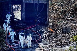 हङकङ आगलागी-वाङ च्यङ हाउसको पहिलो र दोस्रो तल्ला बीचमा रहेको मचानबाट आगो लागेको ठहर